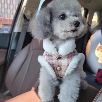 寵物壹福 狗狗壹福 貓咪壹福 秋冬保暖壹福 可牽引馬甲 泰迪 比熊 小型貓犬壹福