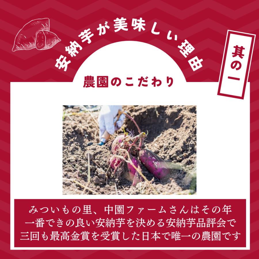 鹿児島県産 種子島 安納芋 中園ファーム LM 18玉〜30玉 5kg相当 さつまいも あんのういも 生芋 産地直送 焼き芋 最適 スイーツ 熟成 蜜芋 お誕生日 内祝い