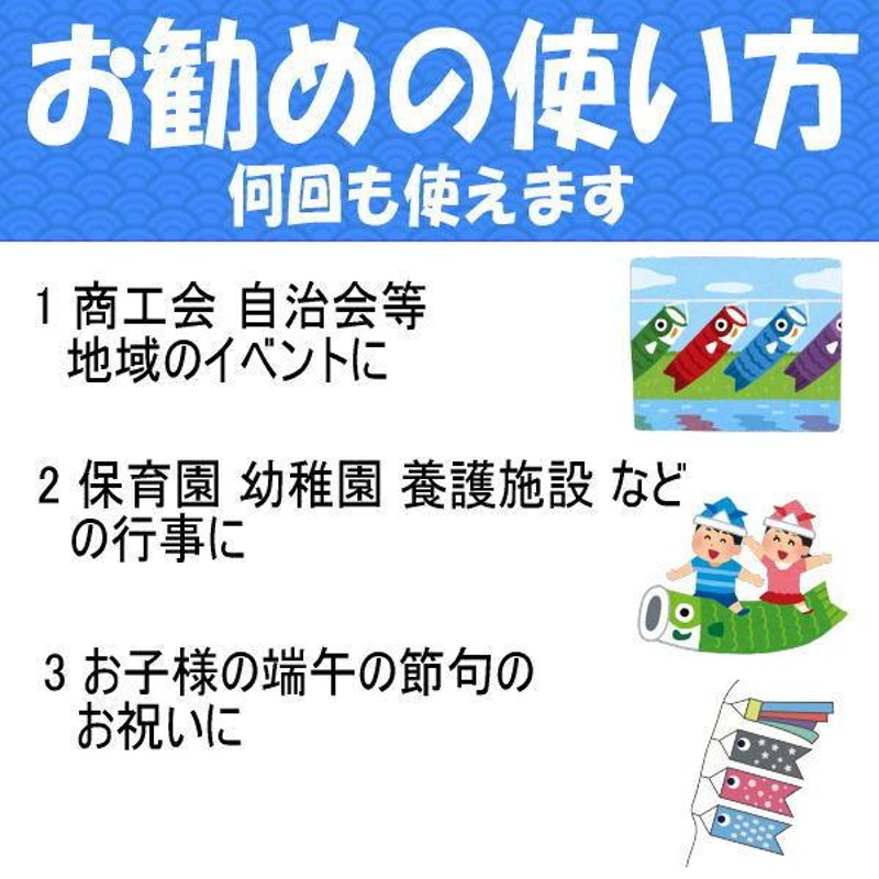 鯉のぼりセット 鯉のみ 在庫処分 アウトレット 特価 五月晴 6m 3匹金太