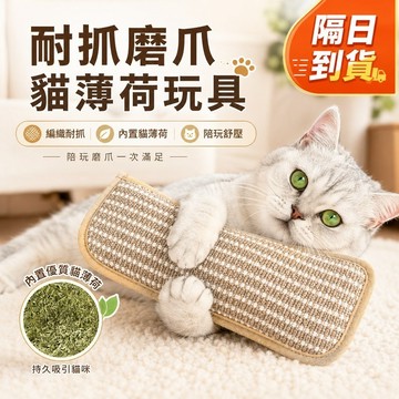 隔日達 貓咪耐抓磨爪抱枕玩具 內置貓薄荷 編織耐磨可啃咬 抱抱踢踢互動玩具 貓咪放電陪玩用品 Y