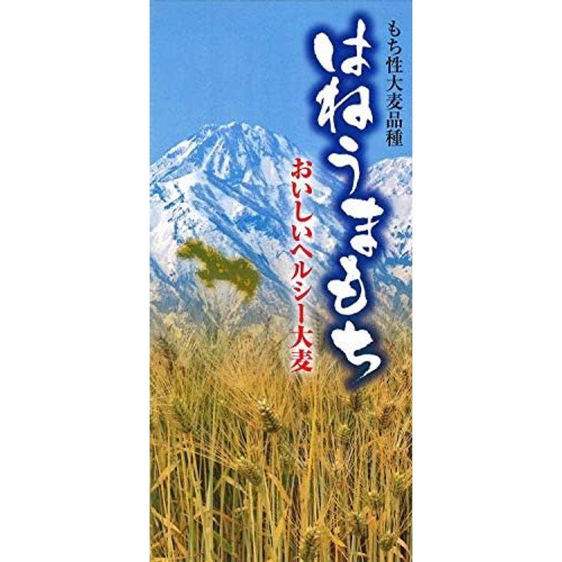 越後製菓 黒米・玄米入りもち麦ごはん 240g ×12個