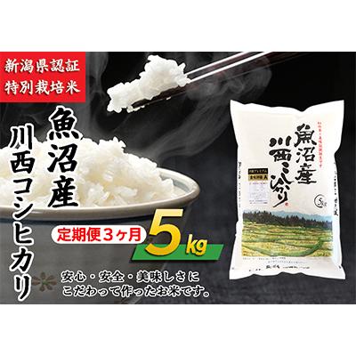 ふるさと納税 十日町市 新潟県　魚沼産川西こしひかり5kg　全3回