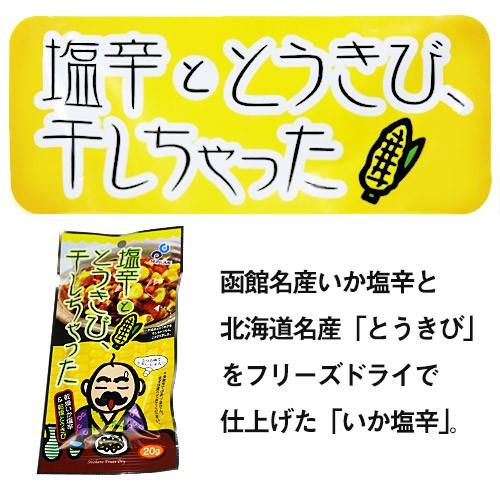 塩辛ととうきび、干しちゃった 20g×5袋セット メール便 布目 北海道 いか お試し 送料無料