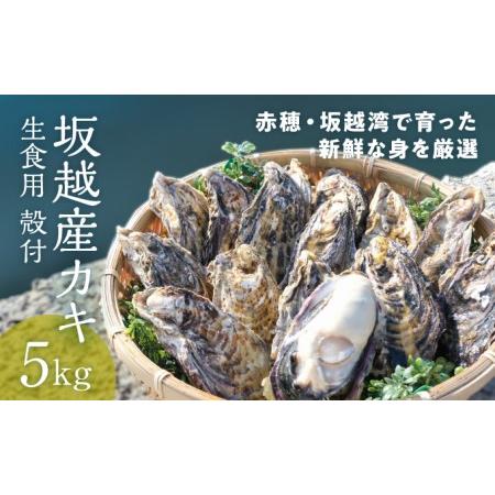 ふるさと納税 メディアでも話題の生食用カキ！赤穂・坂越湾で育った新鮮な身を厳選(坂越産カキ 生食用 殻付5kg)[ 牡蠣 冬牡蠣 兵庫県赤穂市