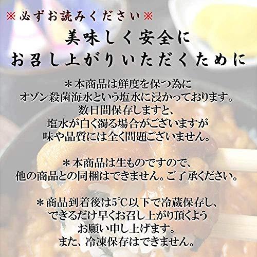 　北海道産　蝦夷バフンウニ100ｇ　いくら500ｇ　セット　うに　イクラ　うにいくら　ウ