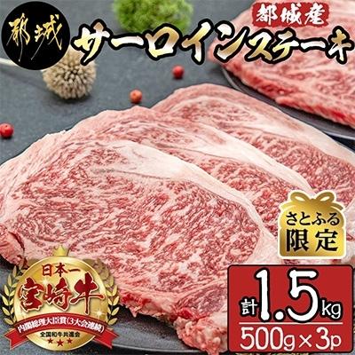 ふるさと納税 都城市 都城産　宮崎牛サーロインステーキ合計1.5kg