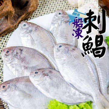 【鮮綠生活】船凍刺鯧(肉魚)(4尾/包)共6包