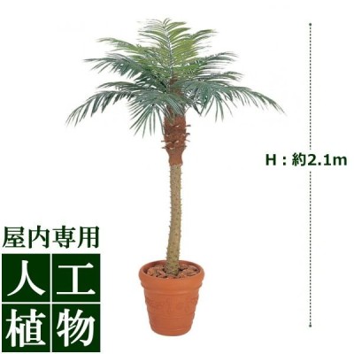 ☆北海道内限定☆ 人工観葉植物 中央フェニックス3.3m-