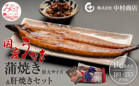 国産うなぎ 蒲焼き 特大サイズ(181～215g)・肝焼きセット