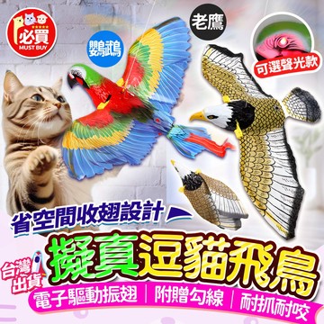 ❤️必買❤️ 逗貓玩具 會飛老鷹玩具 電動鳥 電動鸚鵡 懸掛式逗貓玩具 電動老鷹 貓咪自嗨解悶 電動逗貓玩具 互動解壓