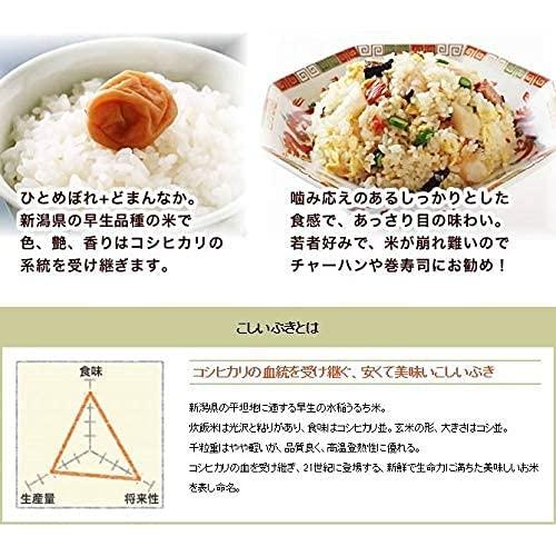 新潟県産 こしいぶき 白米 5kg 令和4年産