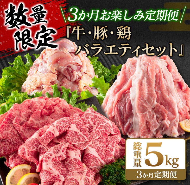 F57-21 ≪数量限定≫3か月お楽しみ定期便『牛・豚・鶏バラエティセット』総重量5kg　肉　牛肉　豚肉　鶏肉