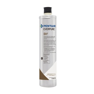 EVERPURE EVERPURE BH2活性碳濾芯【BH2平行輸入濾芯】黑水保固30天