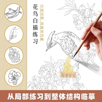 台灣出貨🔥中國畫白描入門描摹本 國畫工筆畫冊 國風古風臨摹繪畫 祈福過香爐 開光畫冊 繪畫入門教材