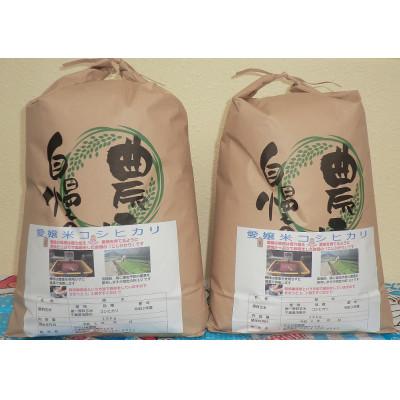 ふるさと納税 茂原市 茂原市産こしひかり白米20kg