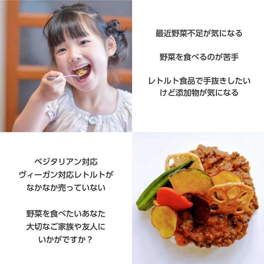 高級 ココナッツカレー 180×2パック│グルテンフリー ベジタリアン対応 ヴィーガン対応 プレゼント ギフト 内祝い 無添加 レトルトカレー カレー 野菜