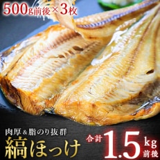 大きさ脂のり自慢!縞ほっけ(約500g)×3枚