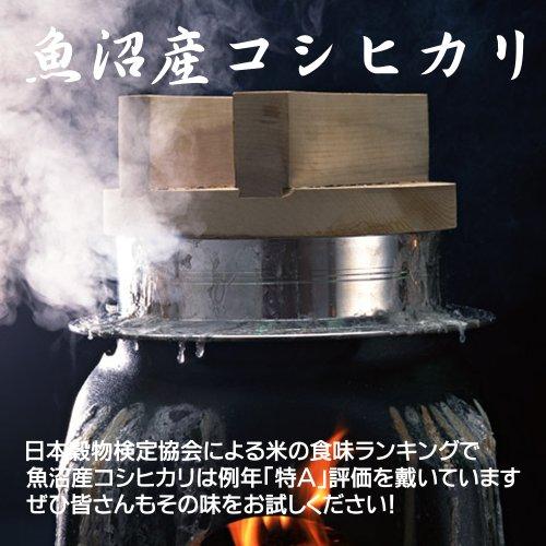  最高級銘柄 新潟 魚沼産 コシヒカリ 5kg 令和4年度 新米