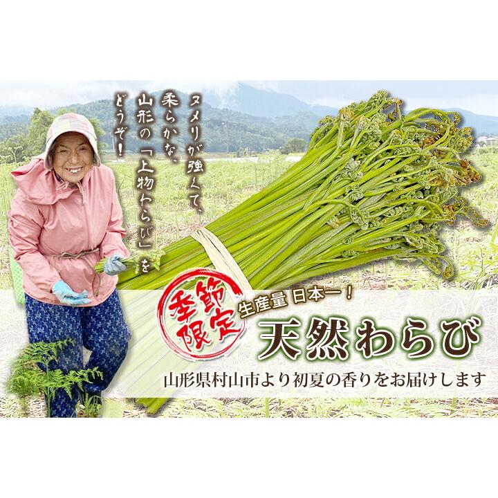 山形県産 山菜 天然わらび 蕨 2kg 送料無料 天然 村山市 山形 ワラビ ワラビの採れる場所 漢字 レシピ ぜんまい 栄養 農産物