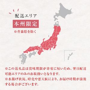 ふるさと納税 氷見まぐろ　生まぐろ400g　産地直送便 富山県 氷見市 鮪 マグロ 冷蔵 鮮魚 富山県氷見市