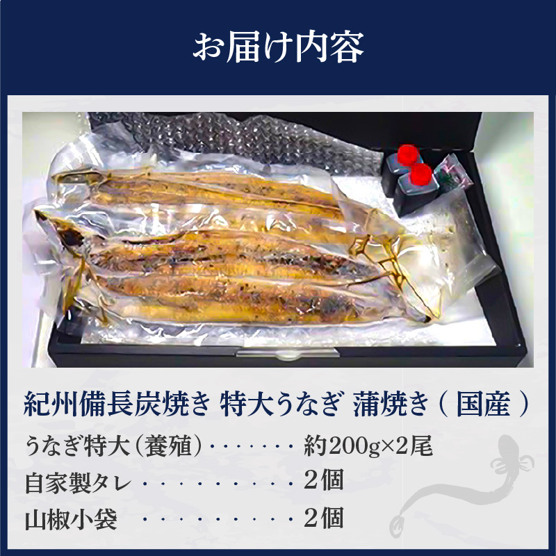 R6102_紀州備長炭焼き 特大 うなぎ 蒲焼き(国産)