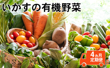 いかすの有機野菜（月1回10品お届け4回分）