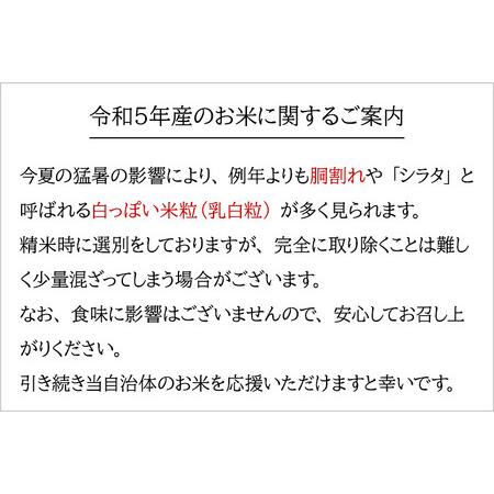 ふるさと納税 ＜新米＞ 《定期便12ヶ月》秋田県産 あきたこまち 5kg (5kg×1袋)×12回 令和5年産 時期選べる5キロ お米 秋田県仙北市