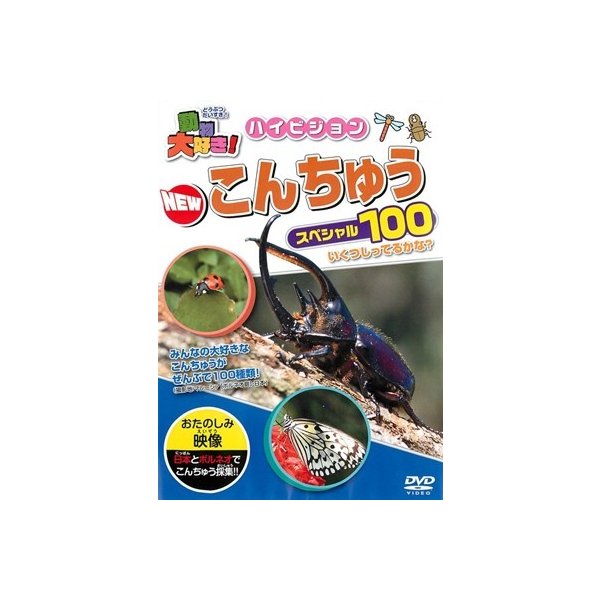 動物大好き ハイビジョンnewこんちゅうスペシャル100 Dvd 通販 Lineポイント最大0 5 Get Lineショッピング