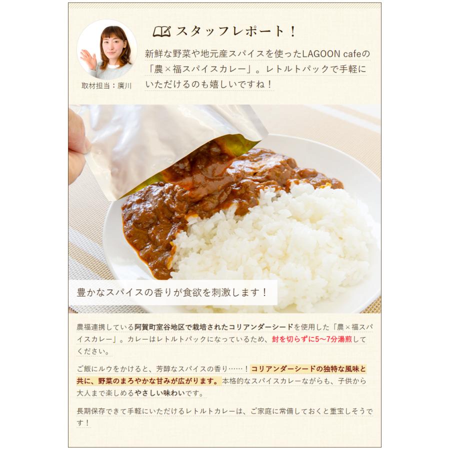 農×福スパイスカレー 6パック入り 惣菜 LAGOON cafe 送料無料