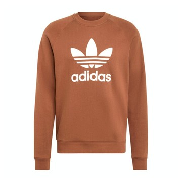 Adidas Trefoil Crew IZ2357 男 長袖 上衣 衛衣 運動 經典 三葉草 休閒 棉質 棕