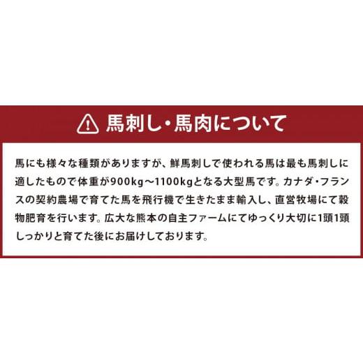 ふるさと納税 熊本県 高森町 馬刺し 部位堪能 7種 食べ比べ ブロック 約540g タレ付き 馬刺