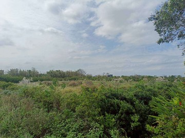 觀音66快速道路三座屋550坪農地｜桃園市觀音區快速路八段