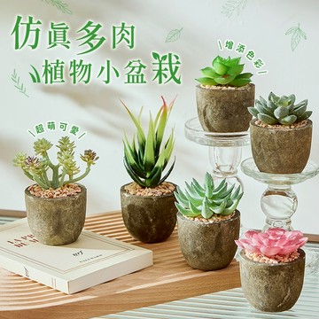 仿真植物 仿真盆栽 仿真多肉 多肉植物 多肉盆栽 小盆栽 綠化盆栽 擬真盆栽 仿真值栽 擬真多肉 擬真盆栽【Q056】