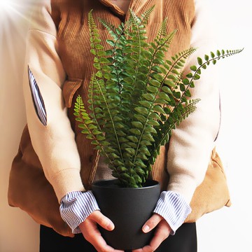 創意仿真ins綠植北歐客廳室內裝飾品擺件假花擺設植物小盆栽盆景1入