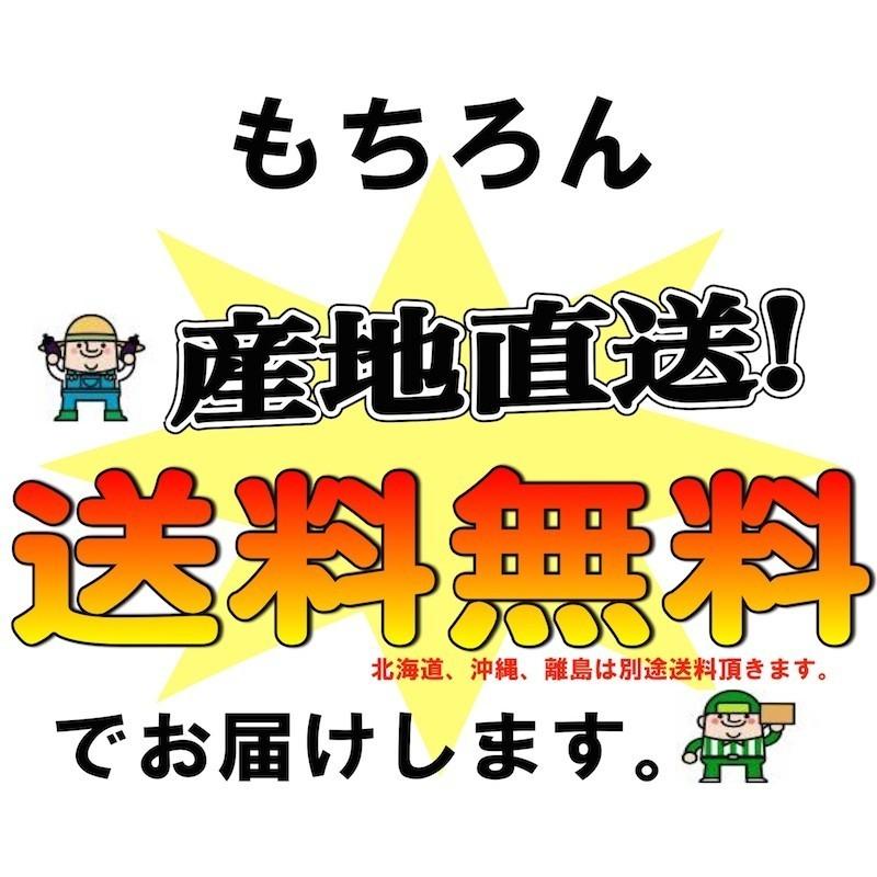 歌山県産 たねなし柿使用 ドライフルーツ 500g国産 無添加 砂糖不使用 柿チップ 送料無料