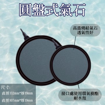 氣泡石/現貨/圓盤式氣石-/直徑132mm*厚19mm/直徑107mm*厚19mm/水族—|A7|【龍爵士水族】