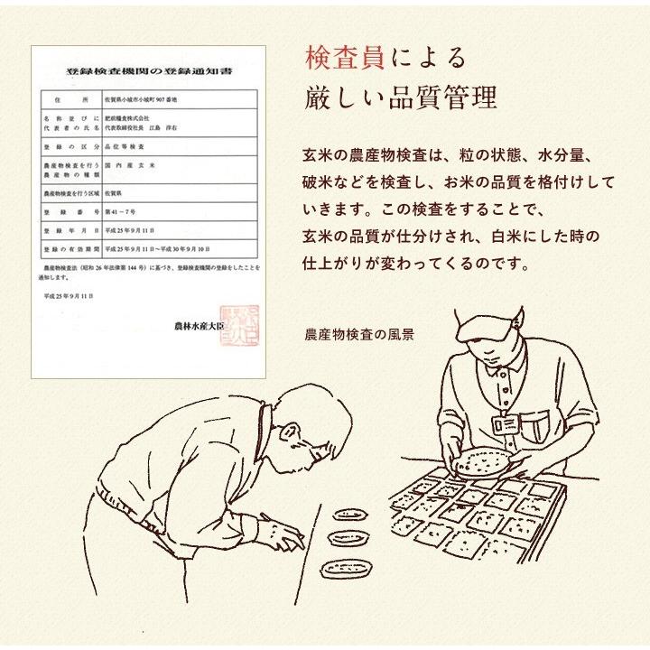 新米　米 お米 20kg 送料無料 夢しずく 佐賀県産　5年度 5kg×4袋