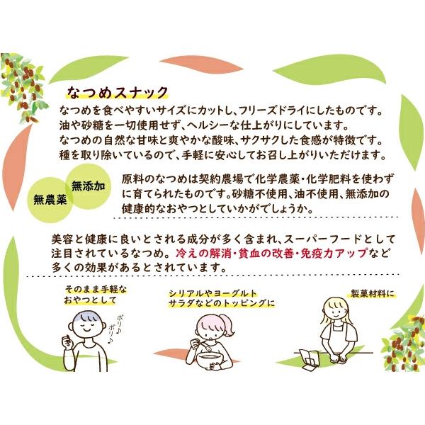 なつめフリーズドライ 50ｇ なつめスナック 大棗 ナツメ