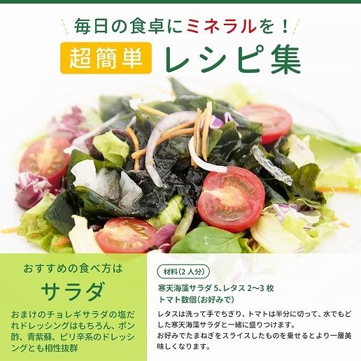 メガ盛り 送料無料 寒天海藻サラダ 260g 味噌汁の具 お試しドレッシング付きが選べる サラダ ミネラル ダイエット食品 非常食