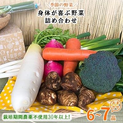 ふるさと納税 潮来市 栽培期間農薬不使用『身体が喜ぶ野菜』詰め合わせ(おまかせ)潮来はぐくみのもり