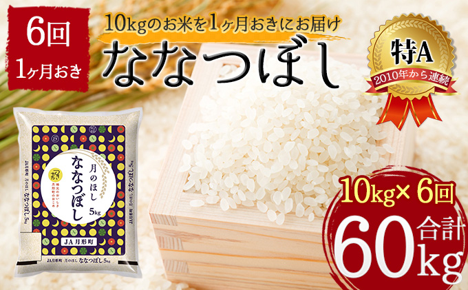 北海道 定期便 隔月6回 令和5年産 ななつぼし 5kg×2袋 特A 精米 米 白米 ご飯 お米 ごはん 国産 北海道産 ブランド米 おにぎり ふっくら 常温 お取り寄せ 産地直送 R5年産 送料無料