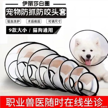 伊麗莎白圈寵物防咬項圈狗狗項圈貓狗頭套寵物用品防舔防咬防抓圈