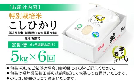 米 定期便 ≪6ヶ月連続お届け≫ 特別栽培米 コシヒカリ 5kg × 6回 令和5年産 新米 福井県産 [e10-e001]