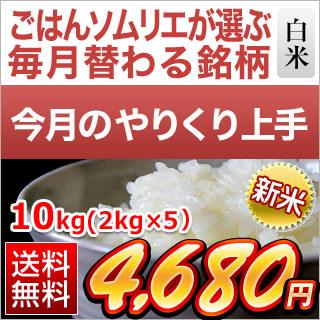 新米 令和5年(2023年)産 福井県産 あきさかり 白米（10kg｜2kg×5袋） 