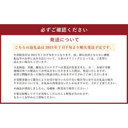 ふるさと納税 熊本県産 幸水梨 約2キロ 5〜6玉入り 梨 なし ナシ フルーツ 果物 熊本県