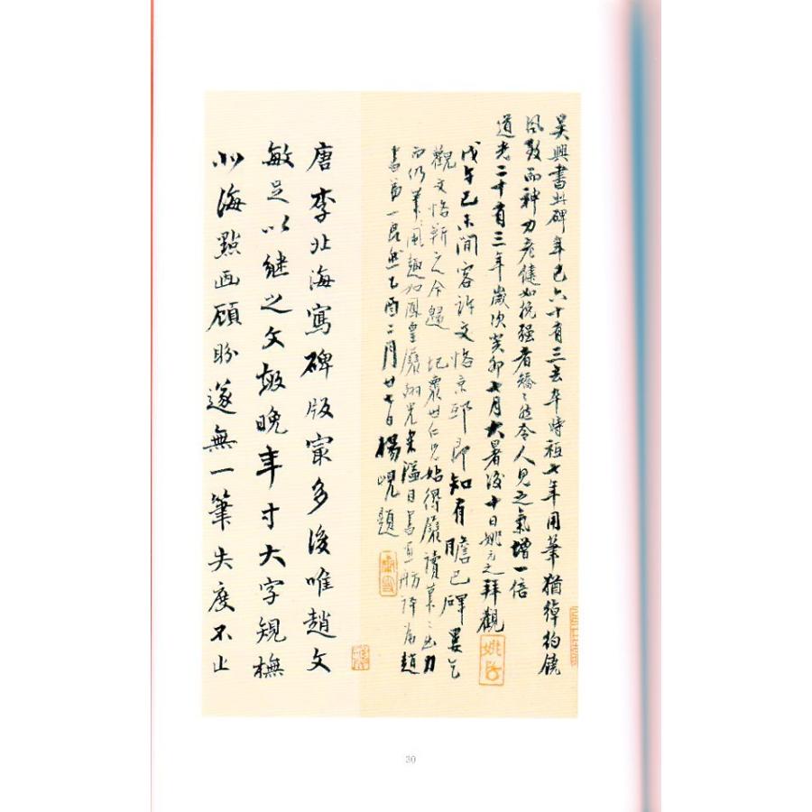 趙孟フ帝師胆巴碑　中国歴代碑帖珍品　中国語書道 #36213;孟#38955;帝#24072;胆巴碑　中国#21382;代碑帖珍品