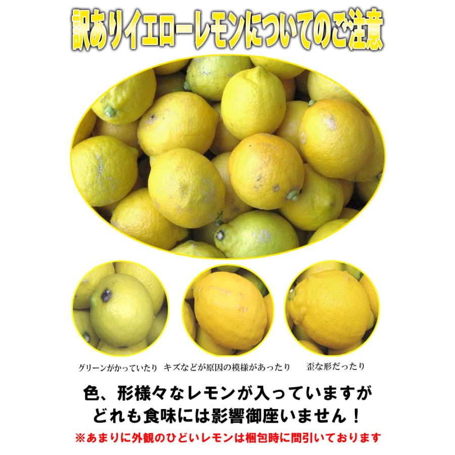 レモン 訳あり 1kg 国産 瀬戸内レモン 広島レモン 瀬戸田レモン 減農薬栽培 ノーワックス 防腐剤不使用 有機肥料使用  皮まで安心してお召し上がれます