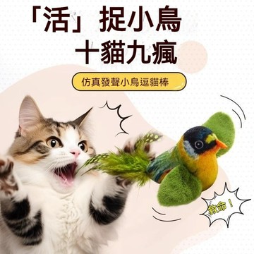 🔥現貨秒殺🔥仿真發聲小鳥逗貓棒 仿真鳥逗貓棒 逗貓棒 彈力鋼絲 小鳥逗貓棒 羽毛逗貓棒 貓玩具 釣魚逗貓棒 自嗨