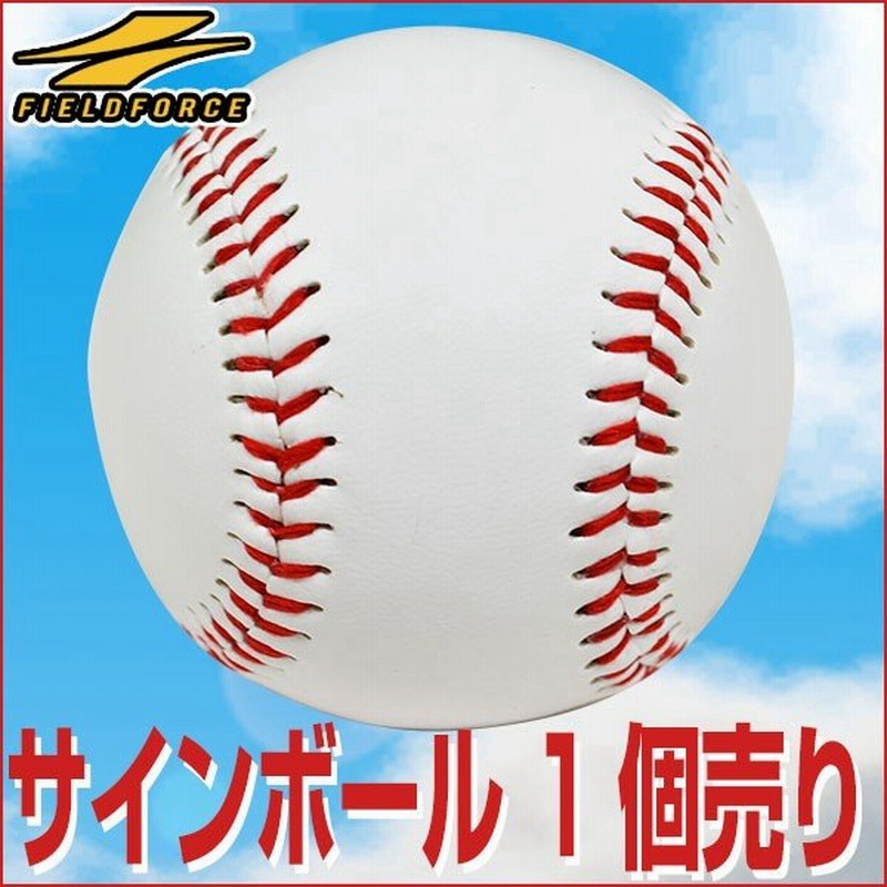 野球 サインボール 硬式球デザイン 2個売り 個包装済み 卒団 卒業 記念品 記念グッズ 寄せ書き Fsb 0905 フィールドフォース 通販 Lineポイント最大0 5 Get Lineショッピング