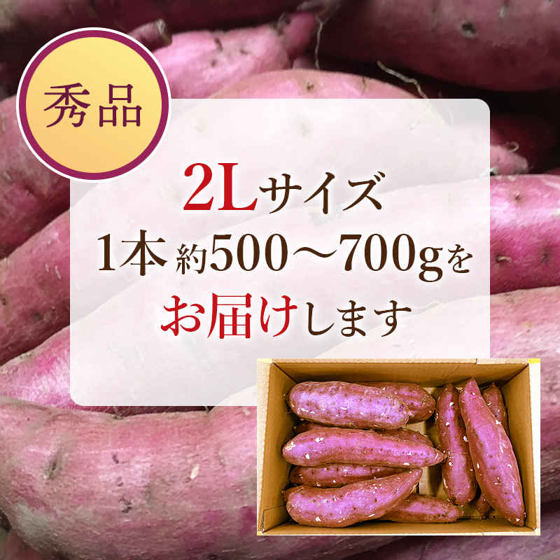 紅はるか 秀品2Lサイズ 約5kg 焼き芋 送料無料 焼いも やきいも やき芋 しっとり 無添加 無着色 茨城県 茨城県産 関商店 スミフル